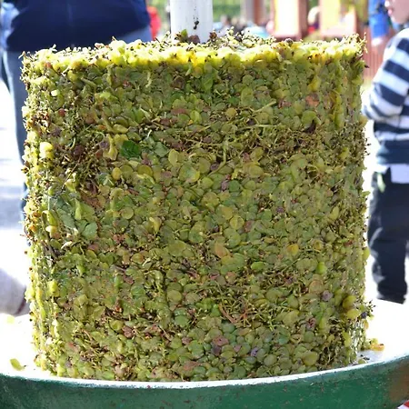Sedlecka Vina Pensjonat