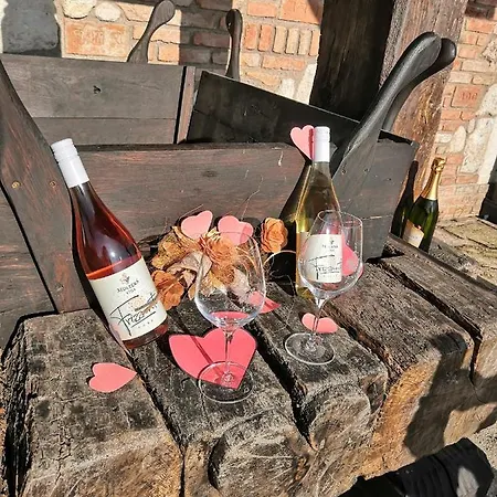 Sedlecka Vina 3* Sedlec (Breclav)