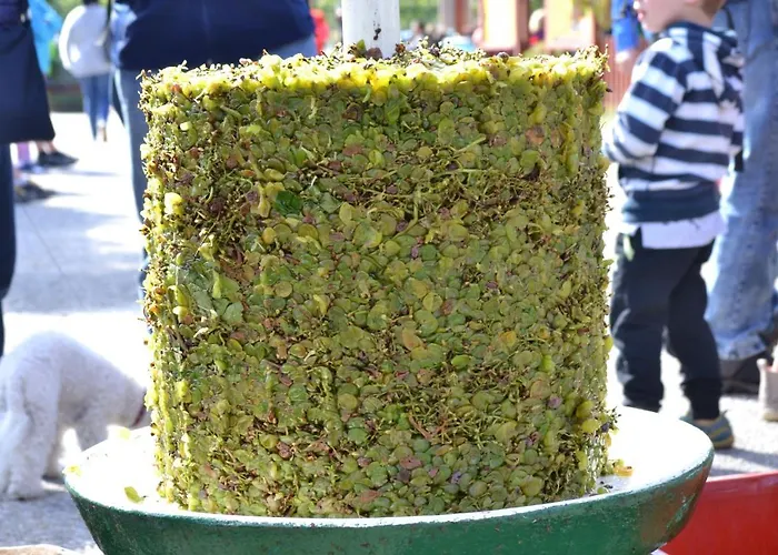 Sedlecká Vína Penzion