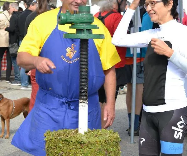 Sedlecká Vína Penzion 3*